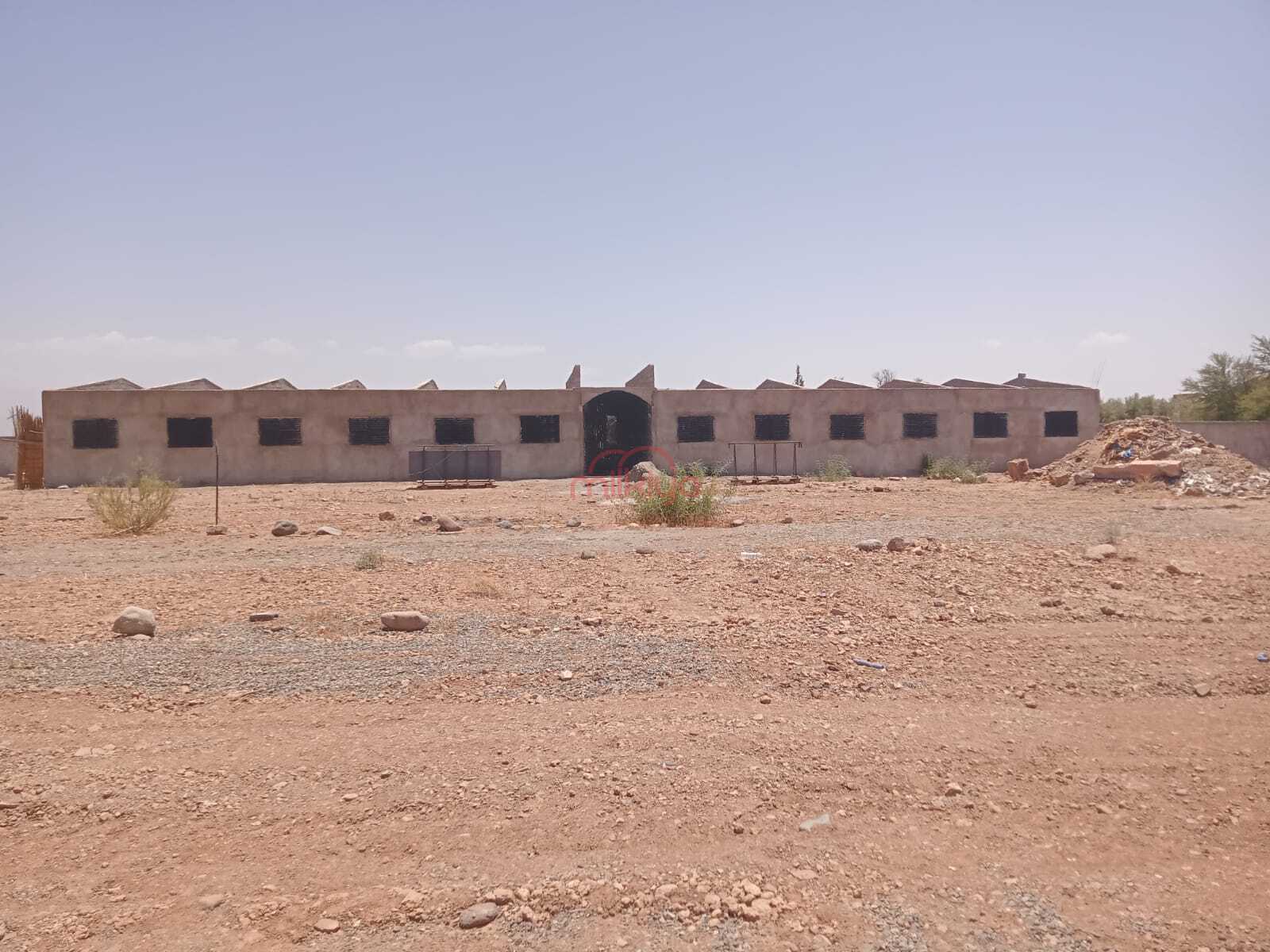 /api/property_images/20003