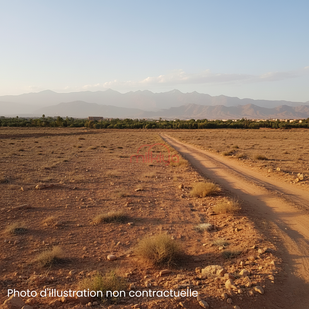 /api/property_images/20262