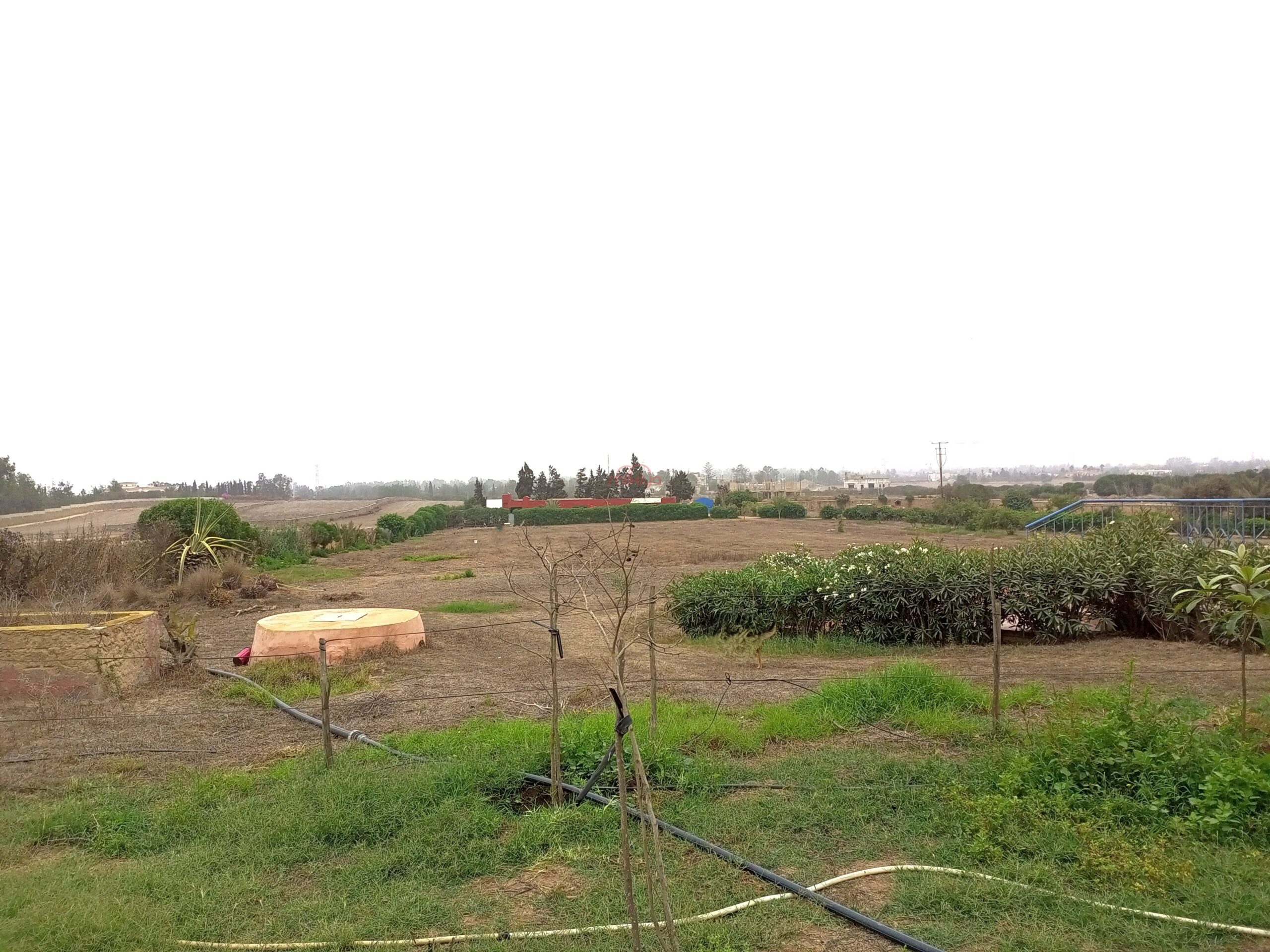 /api/property_images/19772