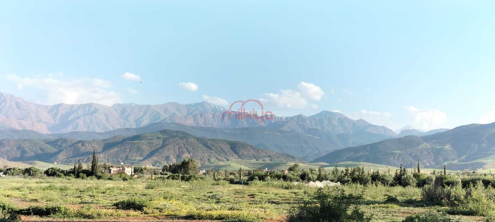 /api/property_images/14028