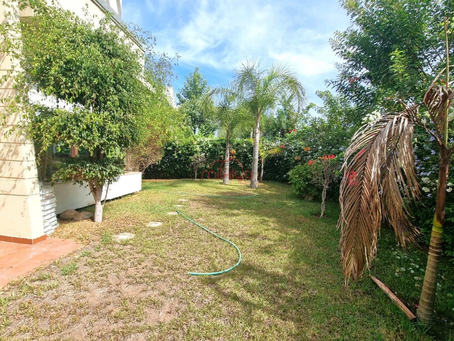 /api/property_images/4032