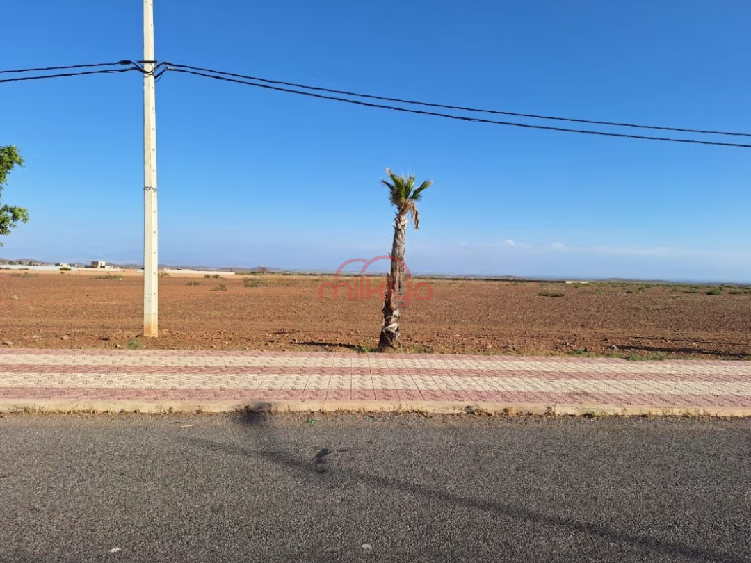 /api/property_images/18486