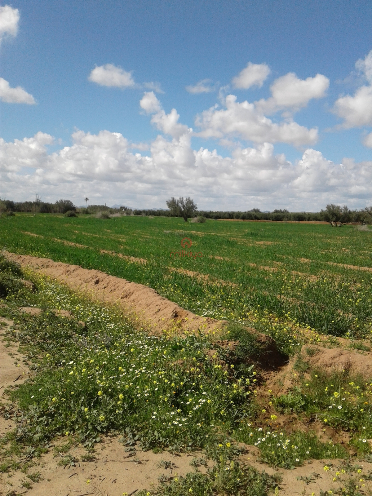 Property Featured Image