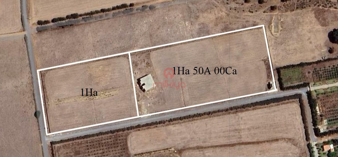 /api/property_images/21556