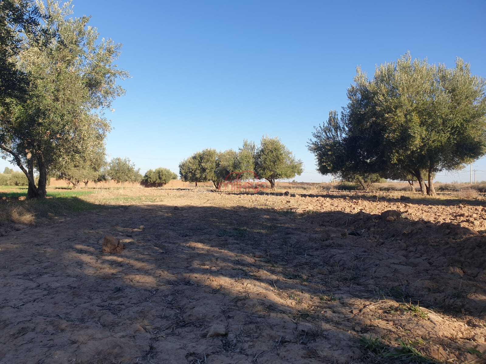 Property Featured Image