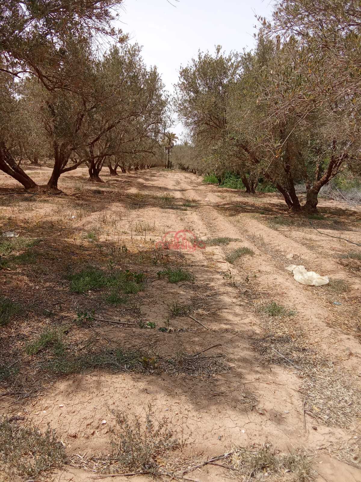 Property Featured Image