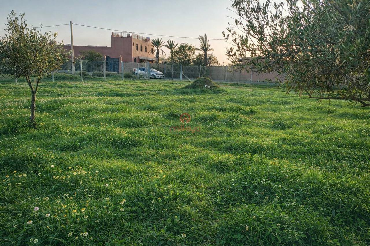 Property Featured Image