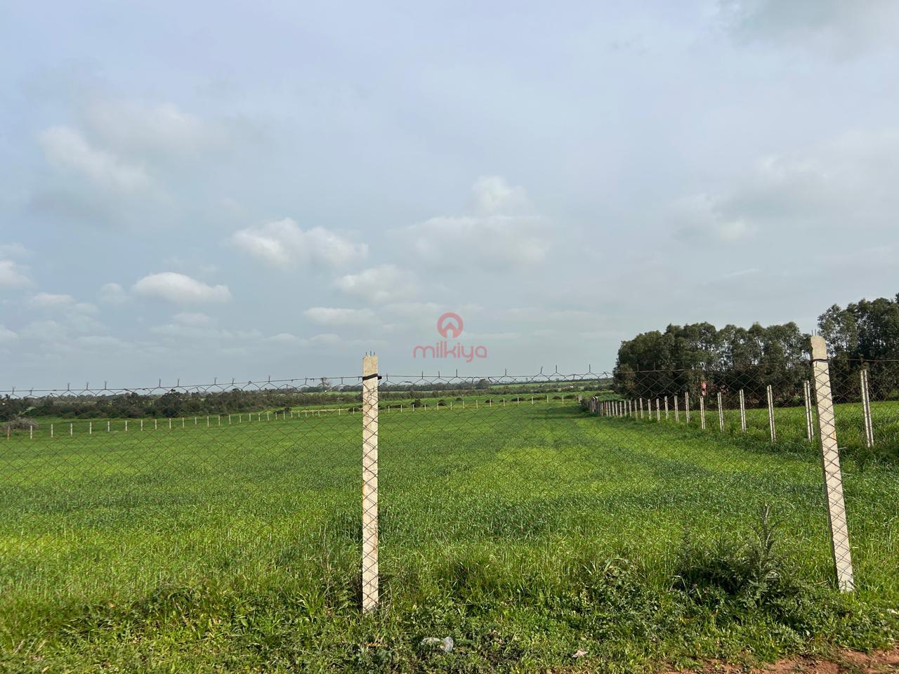 Property Featured Image
