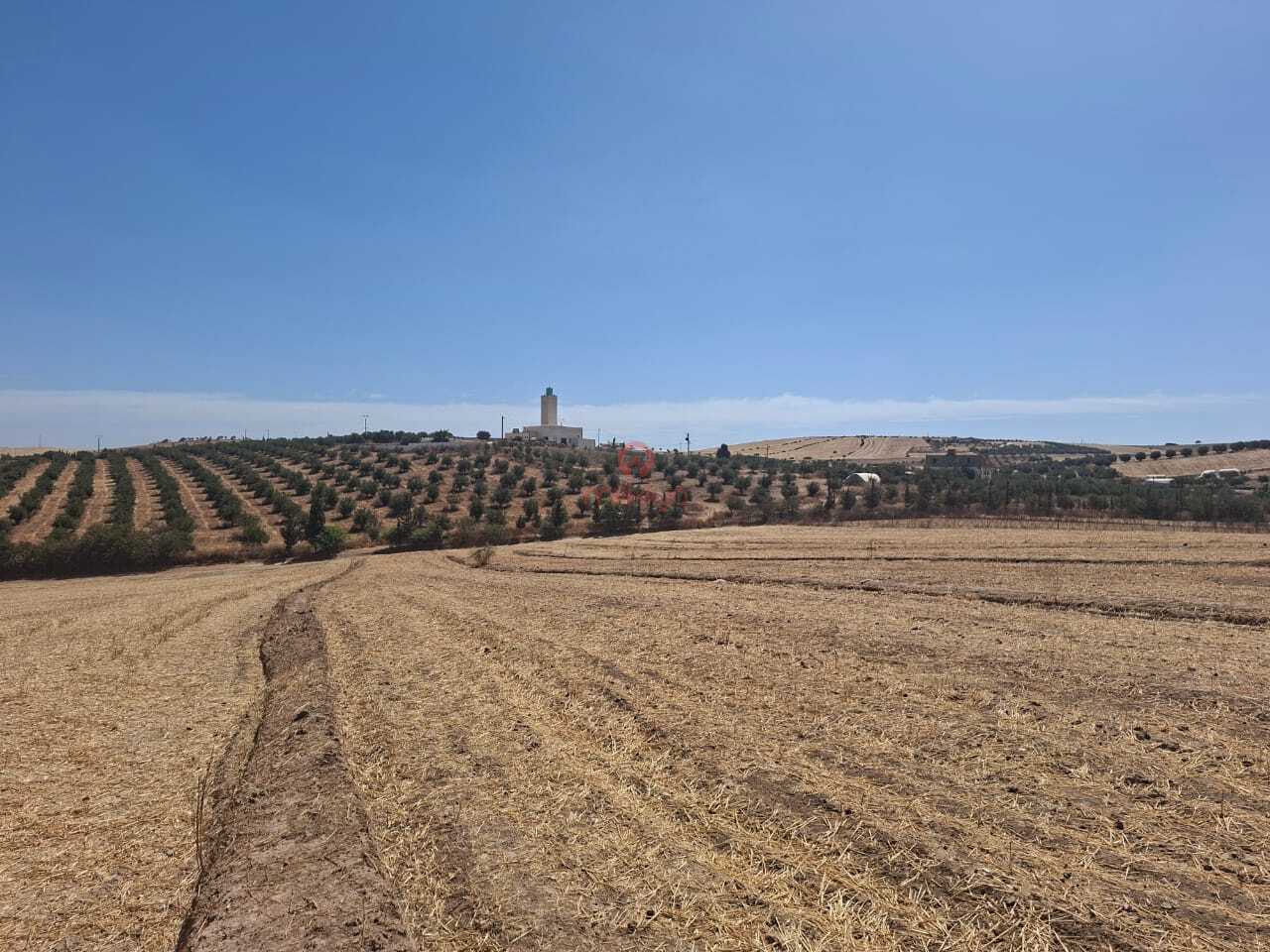Property Featured Image