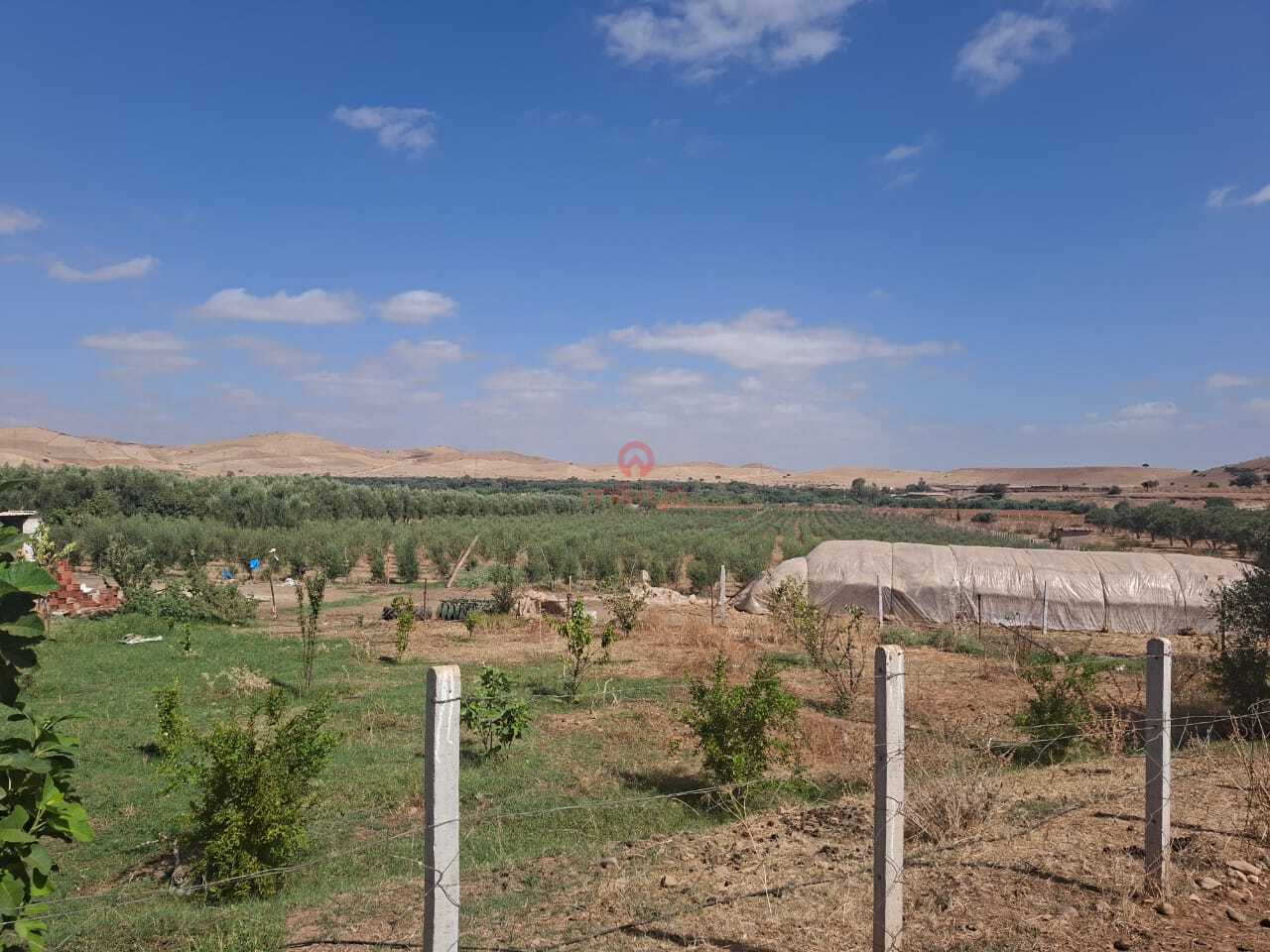 Property Featured Image