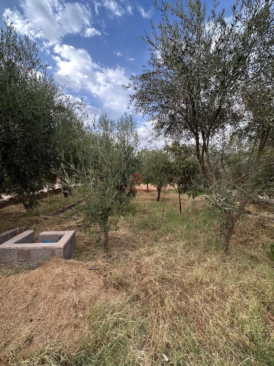 /api/property_images/26377